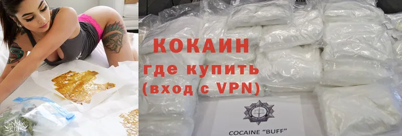 Cocaine Боливия  блэк спрут зеркало  Шагонар  цены  